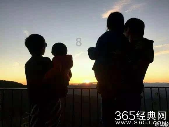 全民烧脑3去广告版